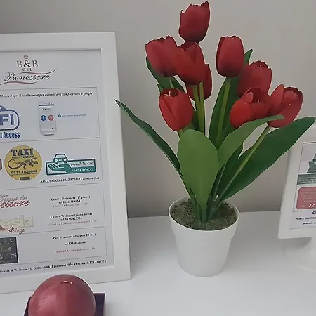 Bed and breakfast Del Benessere Beauty & Welness 3*